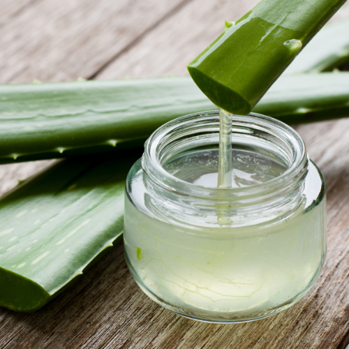 Aloe Vera for Skin: Hydration, Healing, and Anti-Aging Explained