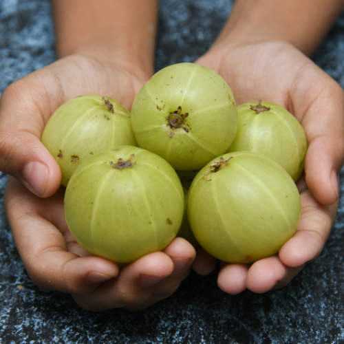 10 Reasons Amla Is the Ultimate Superfood for Your Skin