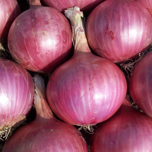 6 Proven Benefits of Onion for Stronger, Shinier Hair