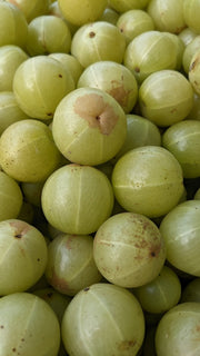 Amla