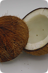 Coconut