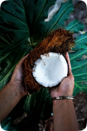 Coconut Bark