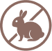 Cruelty Free & Vegan