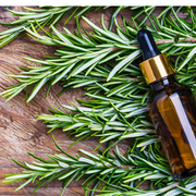 Rosemary